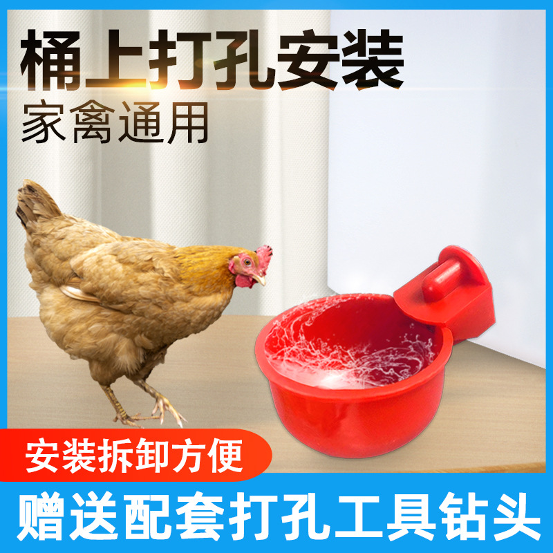 Bebedero automático para pollos, tazón de agua para aves de corral, tazón de agua para pollos, patos y gansos, tazón de agua para pollitos de codorniz, gran descuento en la cantidad de agua para alimentar a las aves