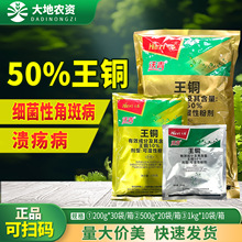 禾益沃青50%王铜柑橘树溃 疡病黄瓜细菌性角斑病保护性农药杀菌剂