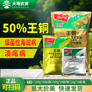 ��������50%���~���٘䝢 �����S�ϼ����Խǰ߲����o���rș������