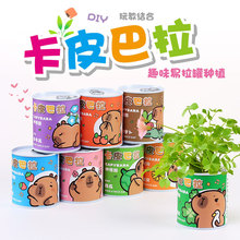 学生礼物绿植小盆栽儿童diy种植花草罐头桌面迷你易拉罐植物盆栽