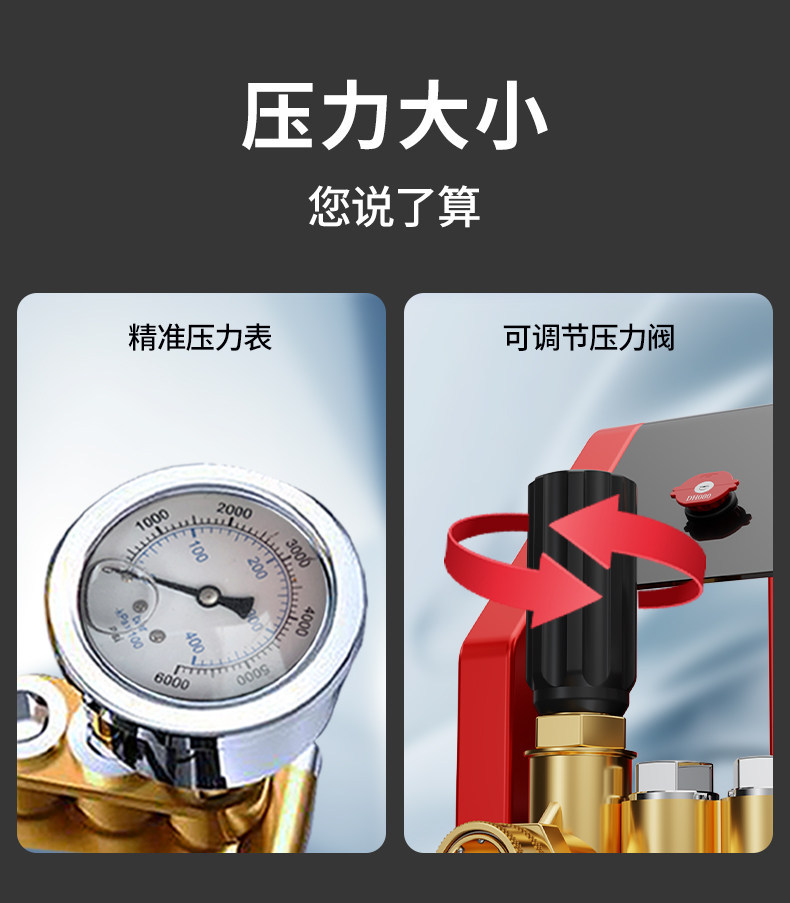 Black Cat High-Pressure Car Washer 220V Commercial Car Wash Shop Wall-Mounted High-Power Cleaning Machine Water Gun Car Wash Pump