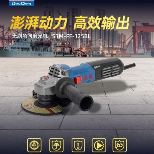 �|�ɟoˢ��ĥ�CS1M-FF-125BL�ֳ�ĥ��C��ɰ݆��ĥ�и���P220V