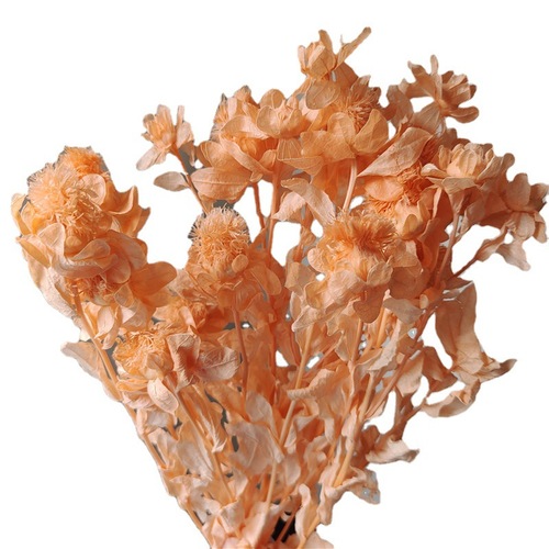Eternal life orange pineapple floral materials DIY home decoration floral arrangement window display B&B real dried flowers art decoration