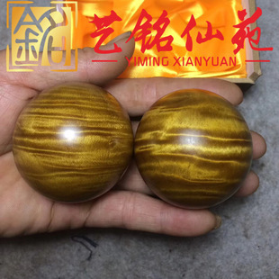 ���~��z�ľ�������ְѼ�ˇ���Է����ľ�|��Ů���ľ������