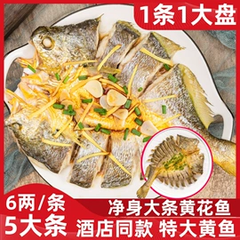 海带;紫菜;贝类