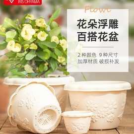 爱丽思IRIS FLOWL波纹圆型多肉植物花盆 塑料中钵花盆 4~14号3.8