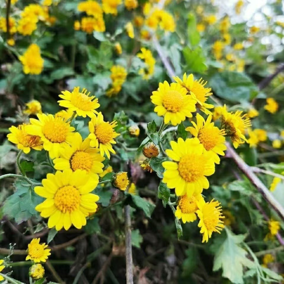 微信图片_20241105212811