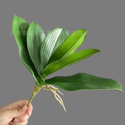 Man-made simulation Moth orchid leaf PVC gardening Potted plant high-grade flower arrangement High-end Home Furnishing decorate Manufactor