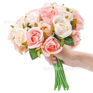 �羳���u12�^õ�廨���ߙn����Сõ��z��������c�������Ҿ��b�