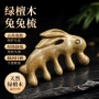 阿根廷头部按摩经络按摩梳