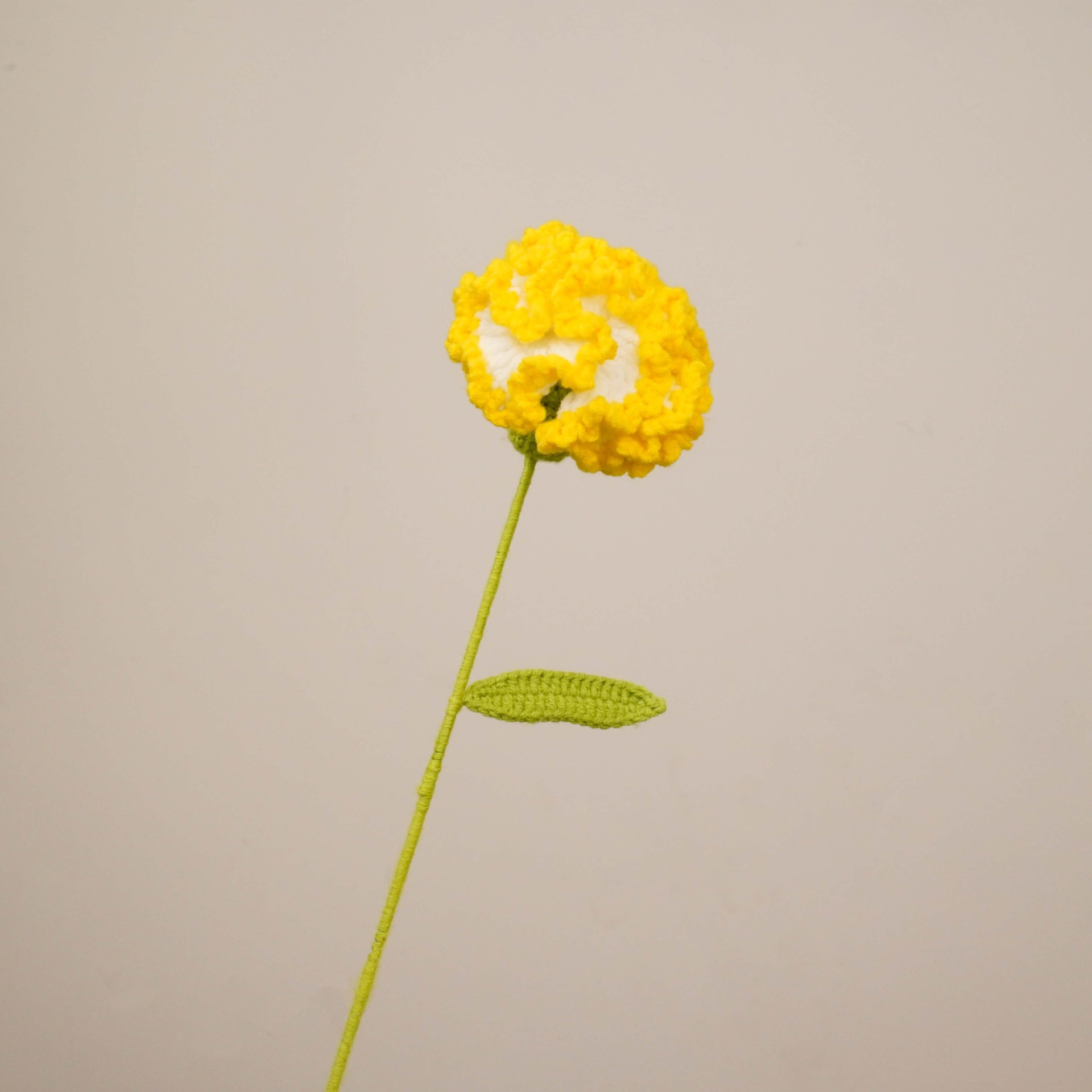 카네이션(그라데이션 옐로우)