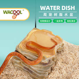 wacool玩酷爬宠水盆爬虫树脂饮水盘蜥蜴树脂造景蛇守宫角蛙龟食盆