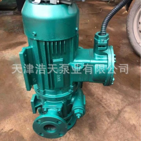 立式滑片泵HTHL 柴油 煤油 汽油滑片泵 轻烃 液化气 化工滑片泵