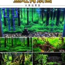 ���~�ױ����N���ڼ�ˮ�ݸ׸������w�D3�ڮ�������ˮ�����o��NĤ