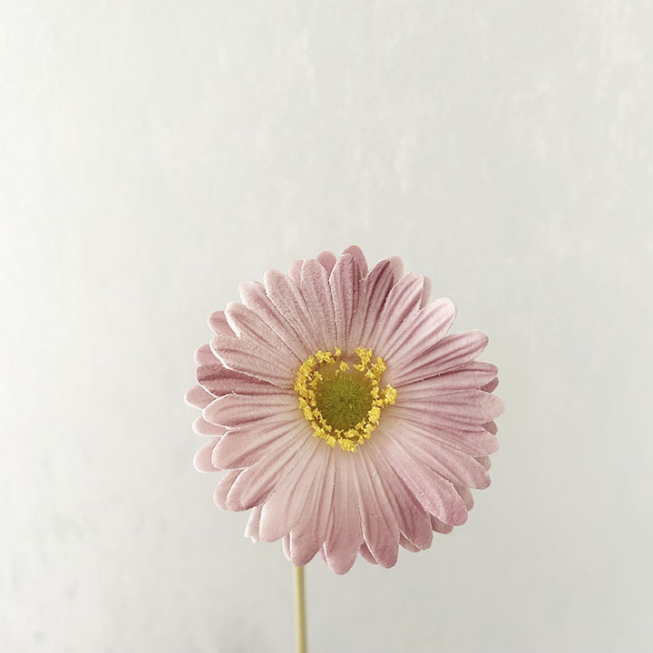 데이트 핑크