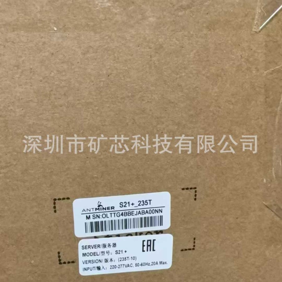 2025-03-03 05:41:51.jpg