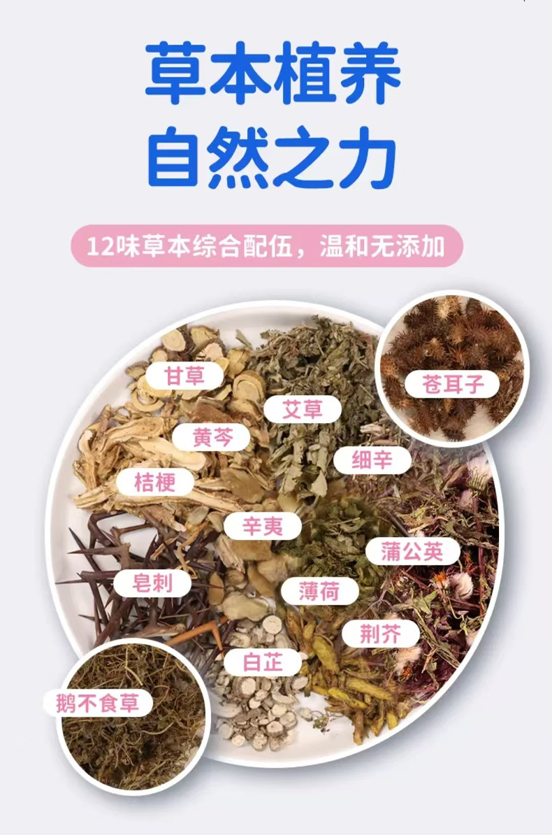 Cang Er Zi Nasal Comfort Herbal Patch with Mugwort for Traditional Nasal Wellness quality and texture