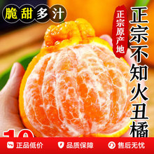 �Ĵ���֪�����10�������˹֮������r�ЋDˮ���Ұҳ���ք�����