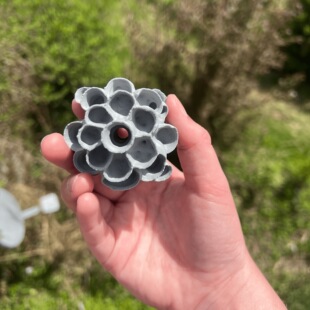�����S�䳲 Artificial Wasp Nest �Ғ�ʽ�ٷ�C3D��ӡ�������F؛