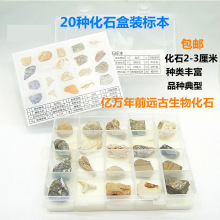 20�N��Ȼ��ʯ�˱��׺� �����h���������~�x��ľ��ʯ ��ͯ���Y��