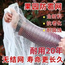 葡萄樱桃水果果园大棚防鸟防冰雹防虫网果园防鸟防晒经久耐用