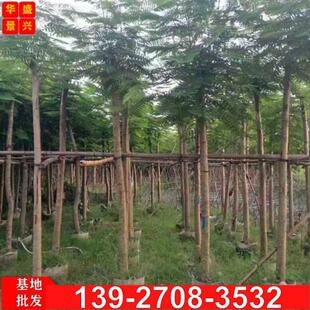 �V�|�P��ľ�� �׏�10���ּt��麘��� �������̾G����ľ ���P��