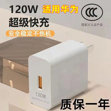 120WmA100W^P40/sҫ60/nova侀b