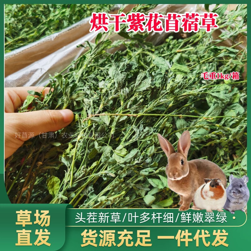 2026 Dried Purple Alfalfa Grass for Rabbits, Guinea Pigs, Chinchillas, Baby Rabbits, Pasture Grass, Pet Feed, Alfalfa Grass