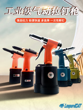 ؚᔘIP䓳оTᔘʽTTӹ