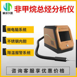 便携式甲烷非甲烷总烃分析仪 FID氢火焰离子化检测仪苯系物检测仪