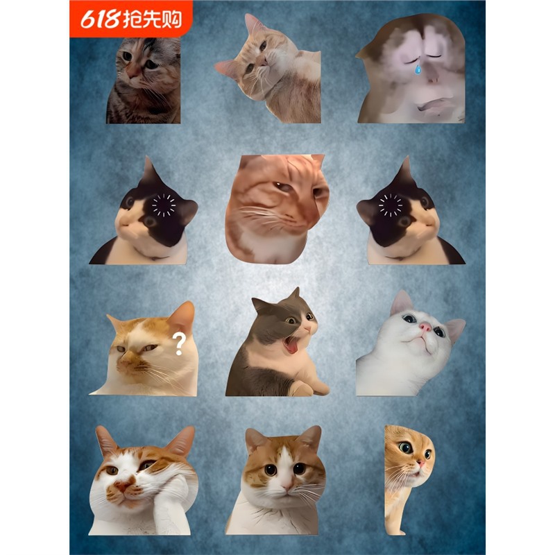 可爱搞笑迷因MEME猫猫咪惊讶表情个性创意车贴笔记本行李箱贴纸