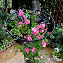 伞形花架爬藤架爬藤植物固定支架铁线莲月季家用户外庭院 支架杆