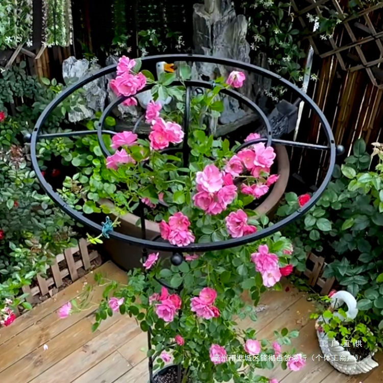 伞形花架爬藤架爬藤植物固定支架铁线莲月季家用户外庭院 支架杆