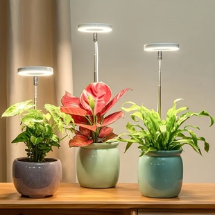 Cross-Border Hot-Selling Labeled Angel Ring Succulent Fill Light USB Color Full Spectrum Led Flower Bonsai Plant Light Growth