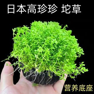 ����ȫ�������ˮ��ˮ�~��ˮ�����B�׸��쾰������