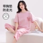 新款短袖薄款夏季家居服