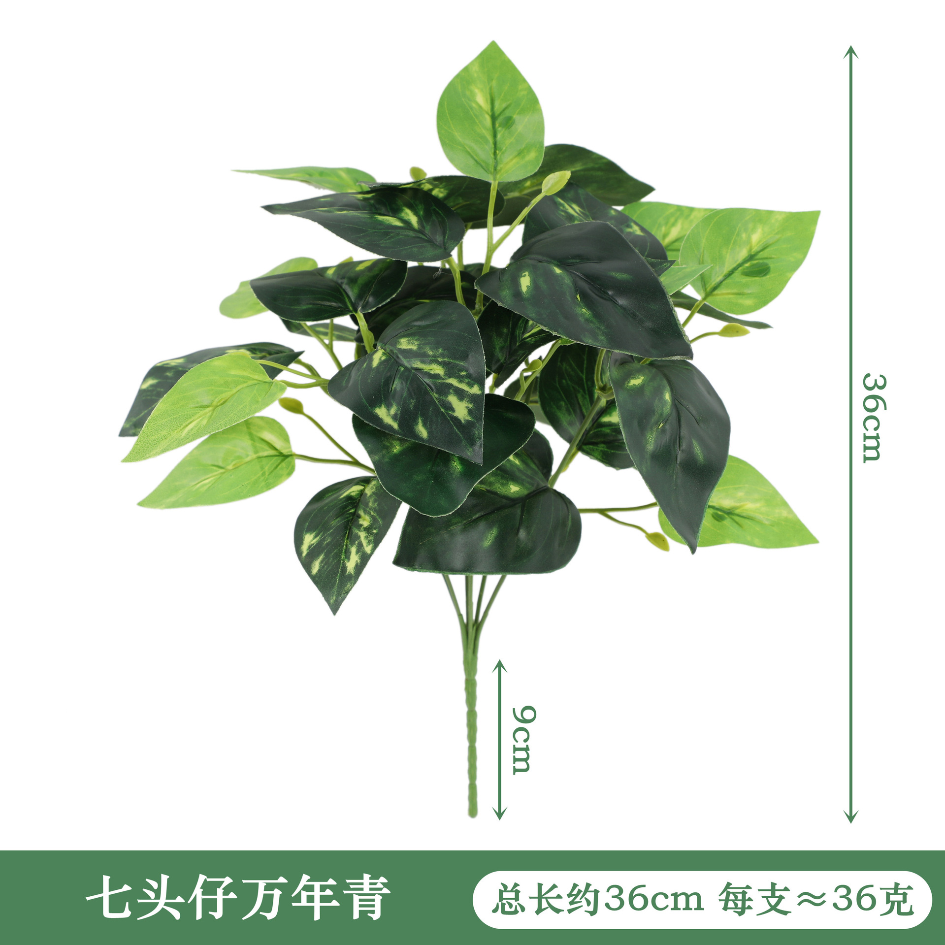 YAL13-170-7 # 일곱 머리 소년 Wanqing