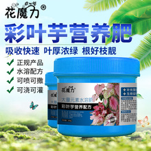 ���~���àI�B��������ɫ���ɫ�t���w�R�辰�҃��^�~ֲ���ļ�