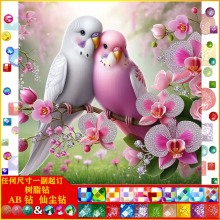 diy�ʯ�����|AB�ɉm��֬�5d�M� �B �W�^ �� �b��S�����lһ