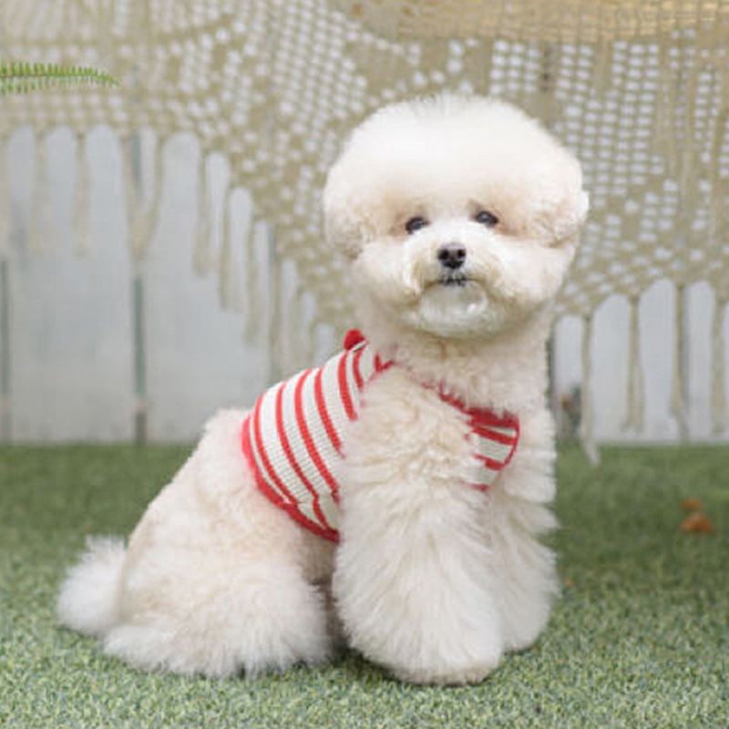 Perro primavera y verano extraño lindos payaso oso estriado eslingas delgadas perros pequeños gatos mascotas peluche ropa de perro