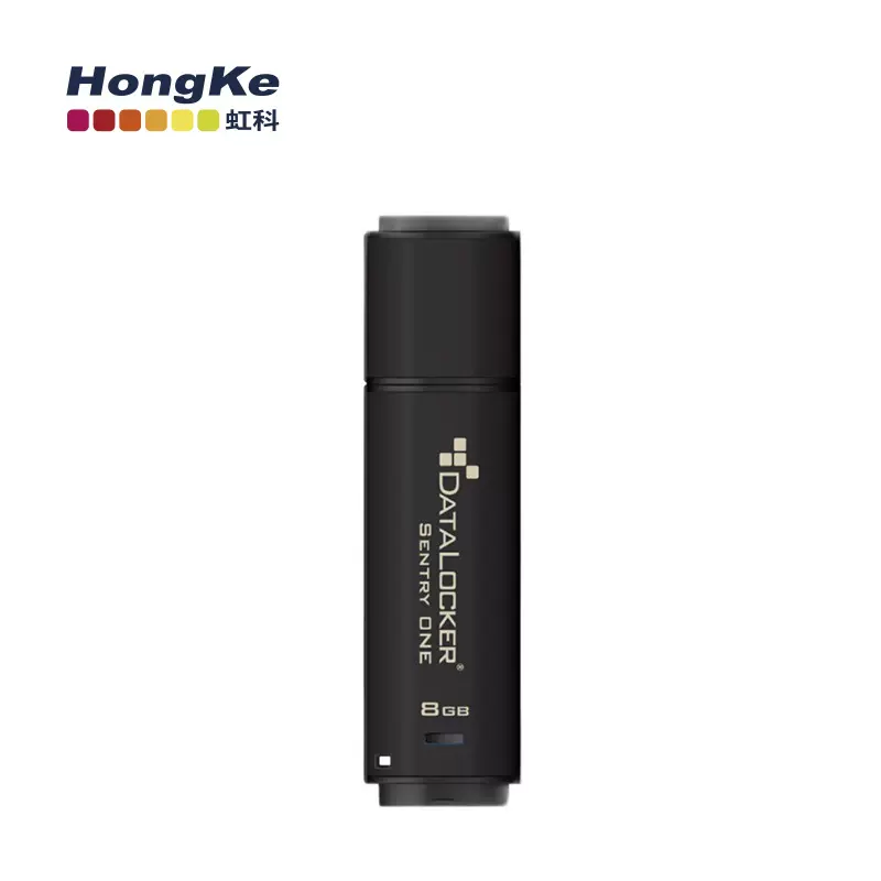 虹科Datalocker防水微型存储卡硬件加密U盘AES256加密SONE系列