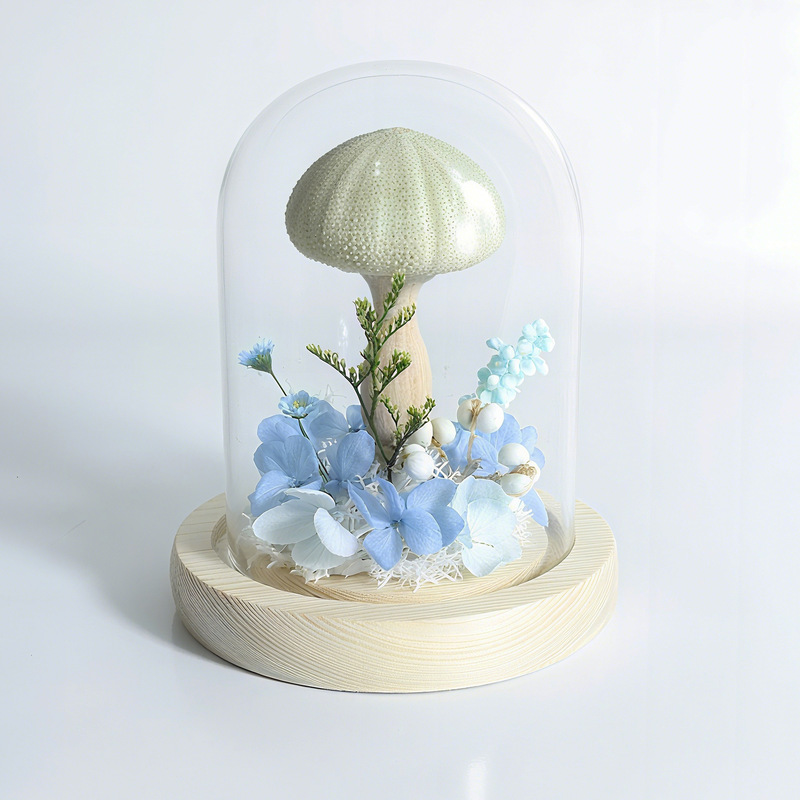 永生花小海胆玻璃罩情人节生日礼物送同学闺蜜女友云南玫瑰玫瑰花|undefined