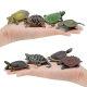 Cross-border simulation amphibian reptile turtle model real crocodile turtle grass turtle aquatic turtle Chinese soft-shelled turtle ornaments toy