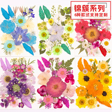 Ѻ����ϸɻ����~ճ�N�������滨ֲ��˱��ֹ����z�ɻ�diy���ϰ�