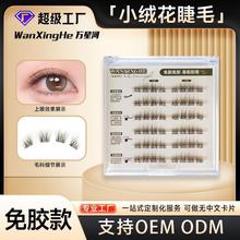 ����ɫ����С�q���ٽ�ë�o�����z�ٽ�ë��Ȼ�����۽�ë�냺������