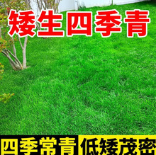 �ļ����ƺ�N�� �����ͺ��o�¹��� �S��ֱ�N���]�����o�¹���