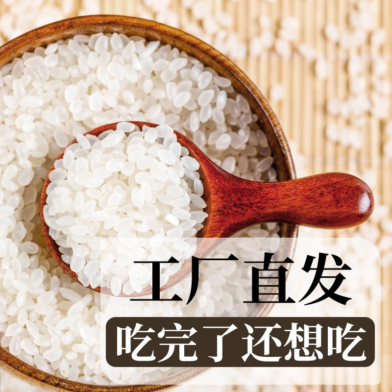 本場東北産パールライス ファミリーパック 5kg 挽きたて丸粒香り米 2.5kg 米農家産 季節の新米|undefined