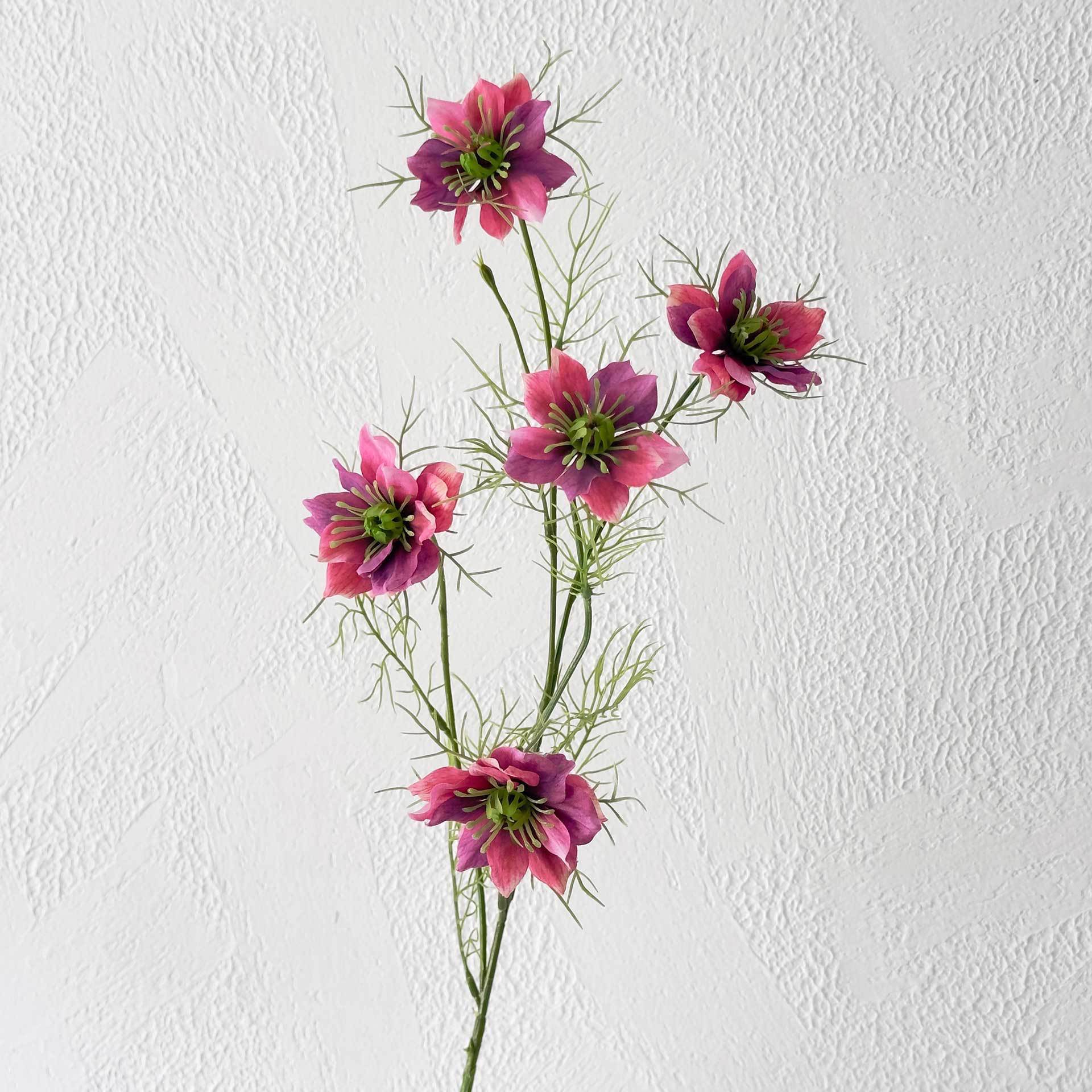 Hierba negra rosa púrpura