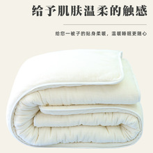 新疆一級棉花被學生夏涼春秋棉被芯純棉墊被絮全棉包邊被子空調被