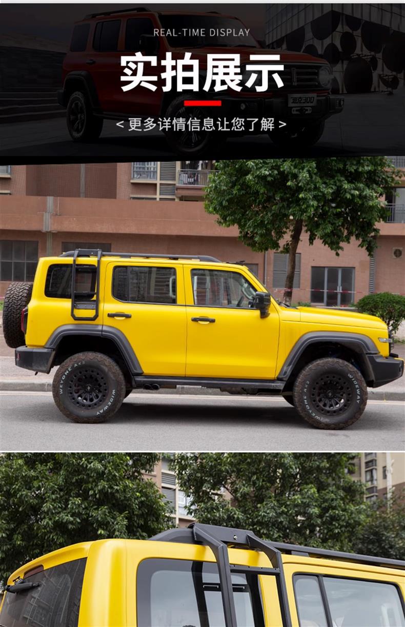Tank 300 Roof Rack Modification Side Ladder Net Pocket Sunken Luggage Frame Side Tent Spare Tire Small Backpack